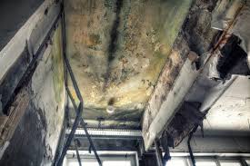 Best Industrial Mold Remediation in Friendly, MD